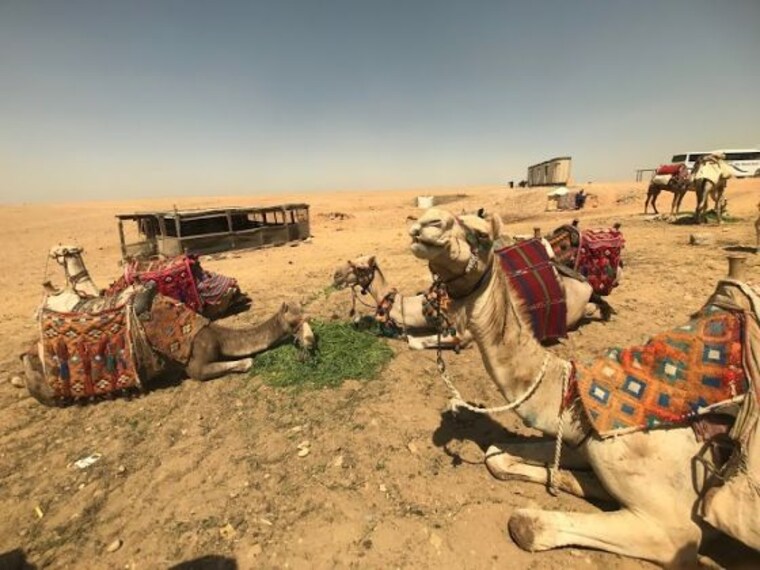 Camel-Riding at the Pyramids-3